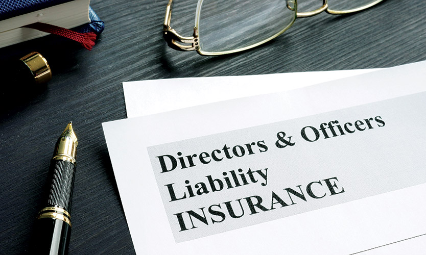D&O liability insurance