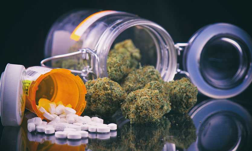 Medical marijuana vs. opioids