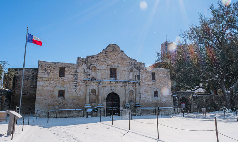Snowy Alamo