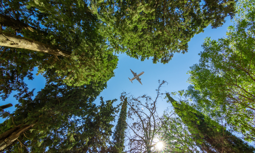 airliner flying above trees