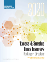 excess and surpluss 2020