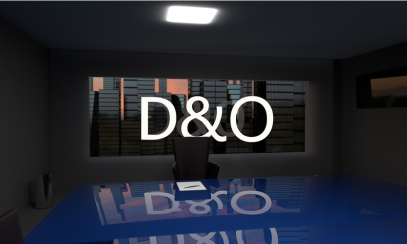 D&O